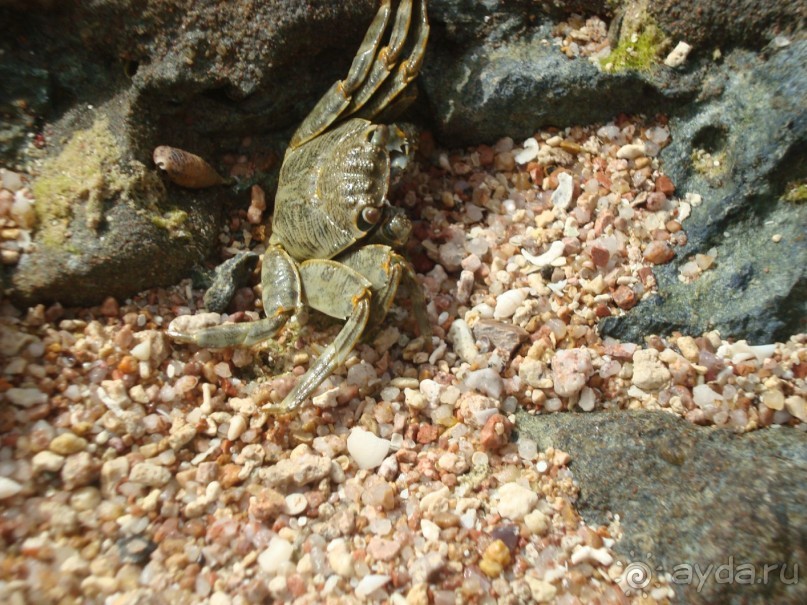 Я была приятно удивлена! Я хочу обратно))))