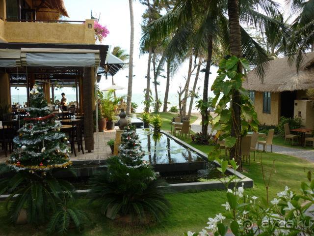 Кто рано встаёт, тот и лежак займёт ))