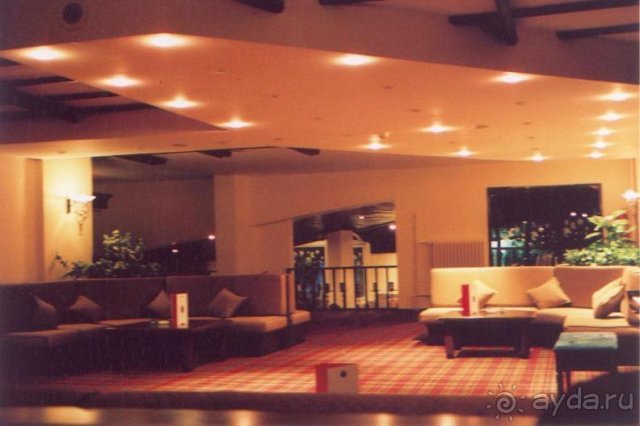 Страшная правда о Паландокене.