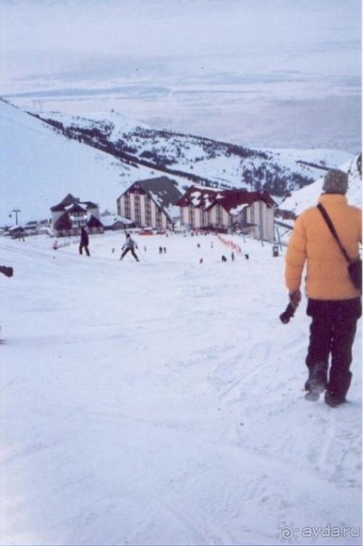 Страшная правда о Паландокене.