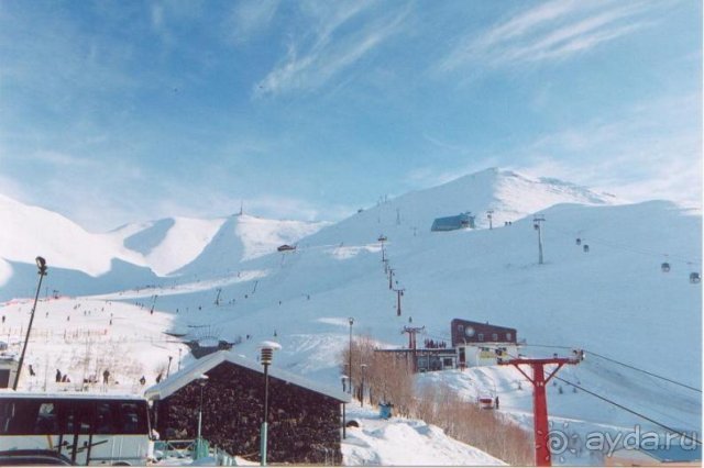 Страшная правда о Паландокене.