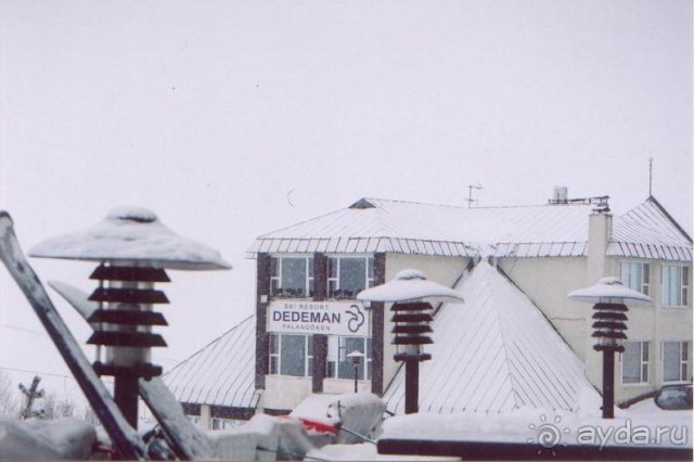 Страшная правда о Паландокене.