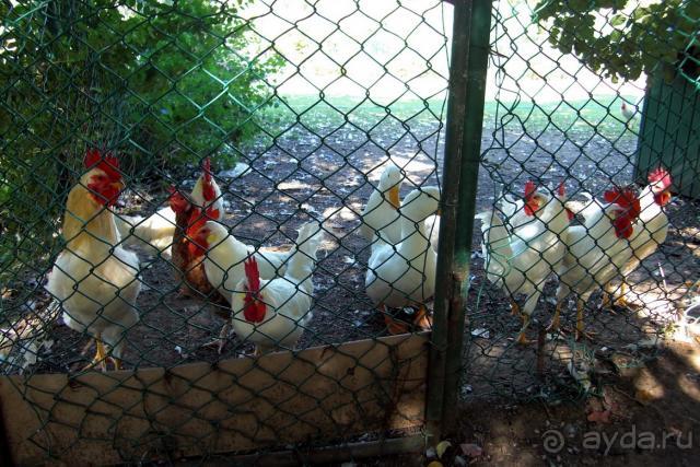 фото Club Marco Polo