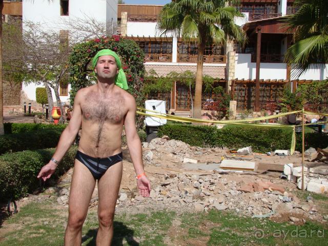 ПЕСНЯ ОРЕНЭЙР, ИЛИ  ЕЩЕ РАЗ ОБЪЕКТИВНО О HILTON TABA,ТАИНСТВЕННОМ СИНАЙСКОМ ШТАМПЕ  И.(часть 1)