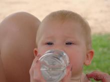 ТАИНСТВЕННОМ, НО РЕАЛЬНОМ СИНАЙСКОМ ШТАМПЕ  И ОСОБЕННОСТЯХ АРАБСКОГО ГОСТЕПРЕИМСТВА