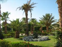 Shedwan Garden Hotel