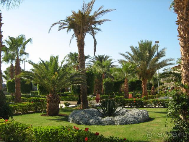 фото Shedwan Garden Hotel (закрыт)