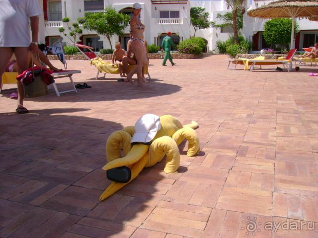 фото Domina Coral Bay Oasis