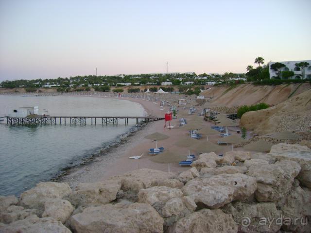 фото Domina Coral Bay Oasis