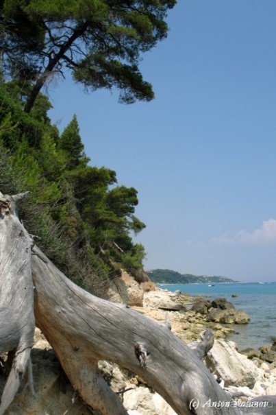 фото Pallini Beach