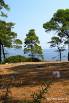 фото Pallini Beach