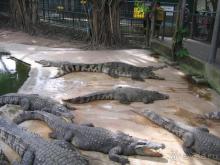 Уютный, хороший отель без излишеств