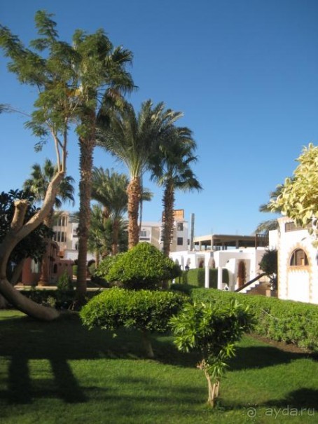 фото Al Mashrabiya