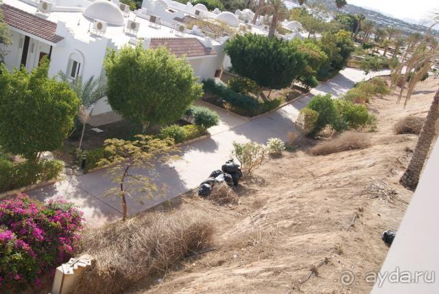 фото Dessole Nesco Waves