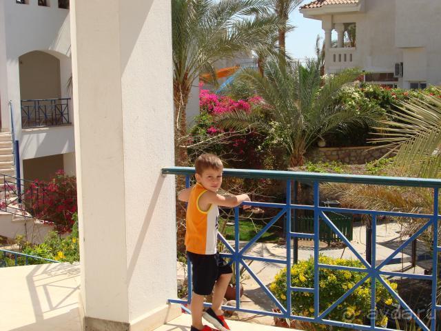 фото Naama Bay Hotel
