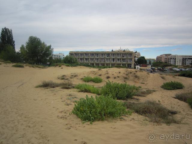 Амфора с моря