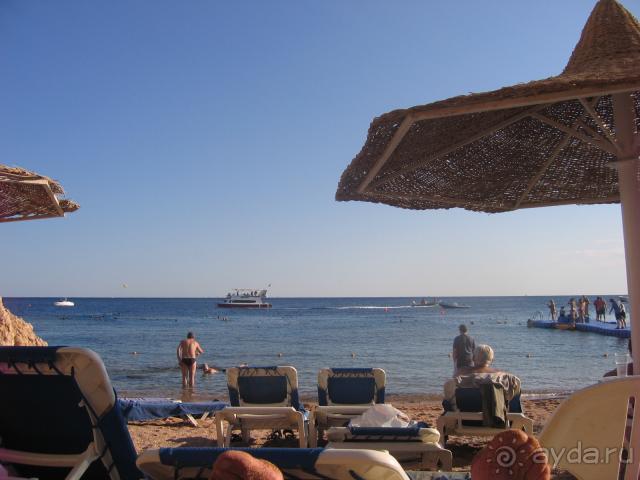 фото DoubleTree by Hilton Sharks Bay Resort