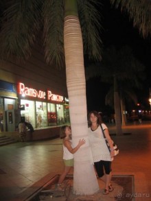 фото Marlin Inn Azur Resort 