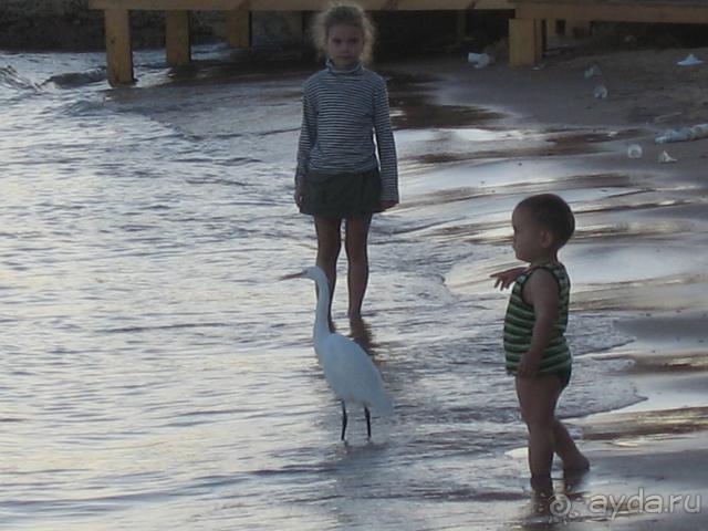 фото Marlin Inn Azur Resort 