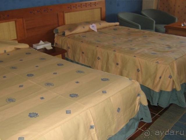 Кто едет за морем - вам сюда!!!