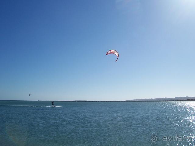 Reemyvera Beach PickAlbatros