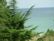 Вид из номера