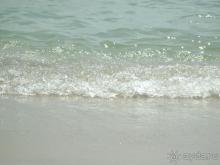 Албена, море