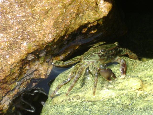 фото Club Hotel Maxima