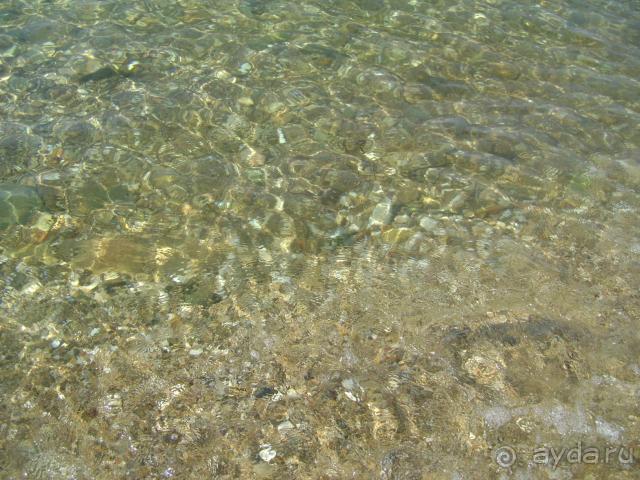 фото Club Hotel Maxima