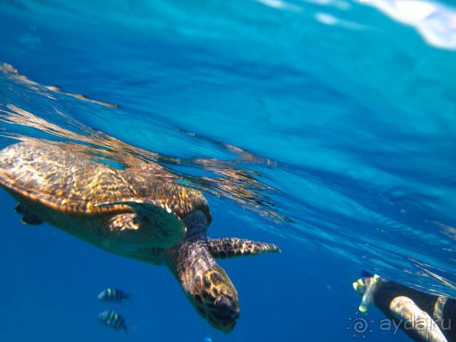 Хороший морской, плавательный  отдых в декабре. 