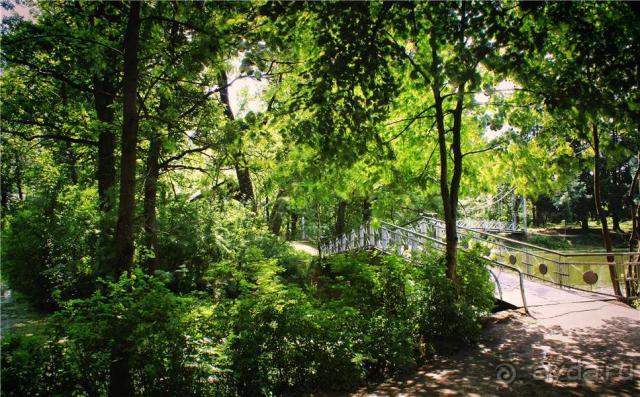 Все к чему стремился- успешно реализовал. 