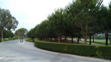 фото Kempinski Hotel The Dome Belek