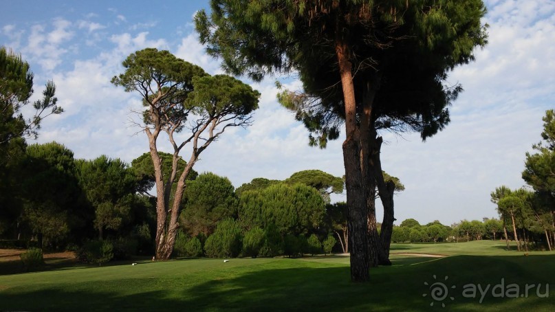 сказочный отель для отдыха без детей, но с нерадивым персоналом