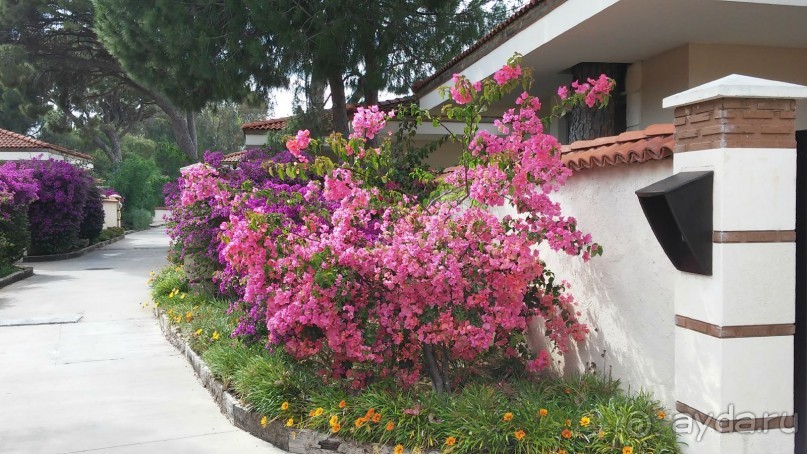 сказочный отель для отдыха без детей, но с нерадивым персоналом