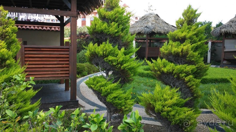 сказочный отель для отдыха без детей, но с нерадивым персоналом