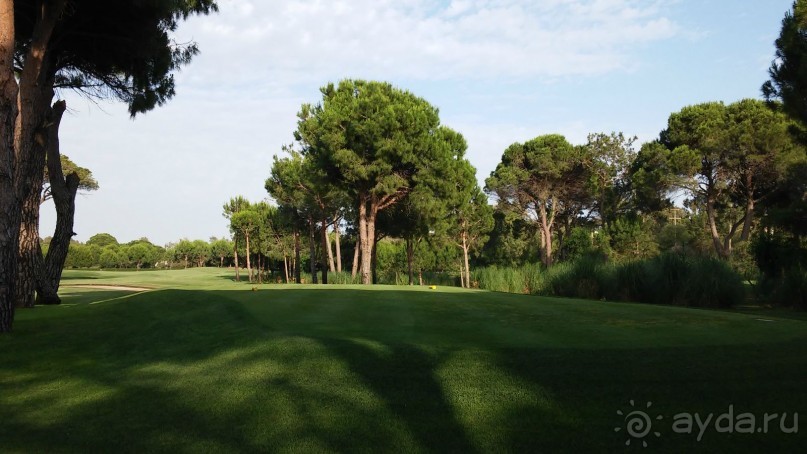 сказочный отель для отдыха без детей, но с нерадивым персоналом