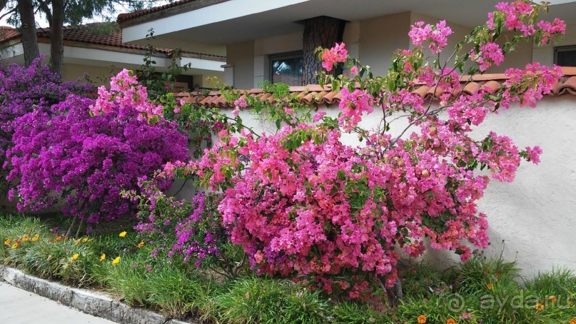 сказочный отель для отдыха без детей, но с нерадивым персоналом