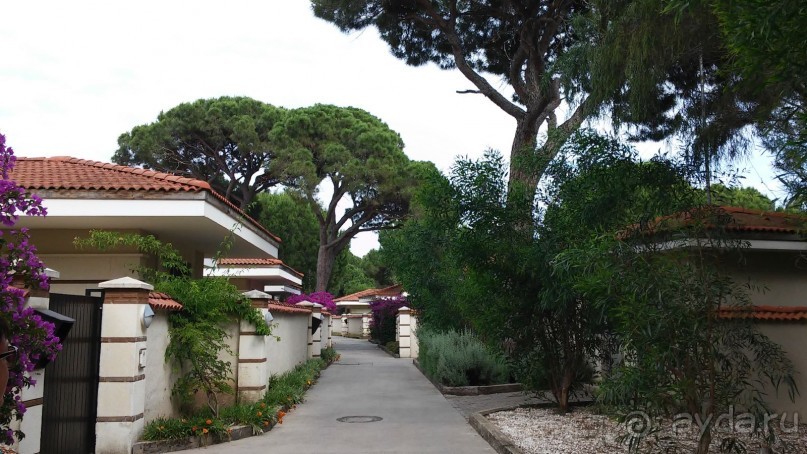 сказочный отель для отдыха без детей, но с нерадивым персоналом