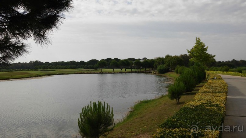 сказочный отель для отдыха без детей, но с нерадивым персоналом