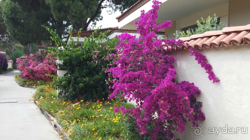 сказочный отель для отдыха без детей, но с нерадивым персоналом