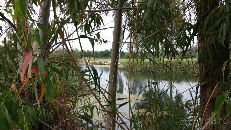 сказочный отель для отдыха без детей, но с нерадивым персоналом