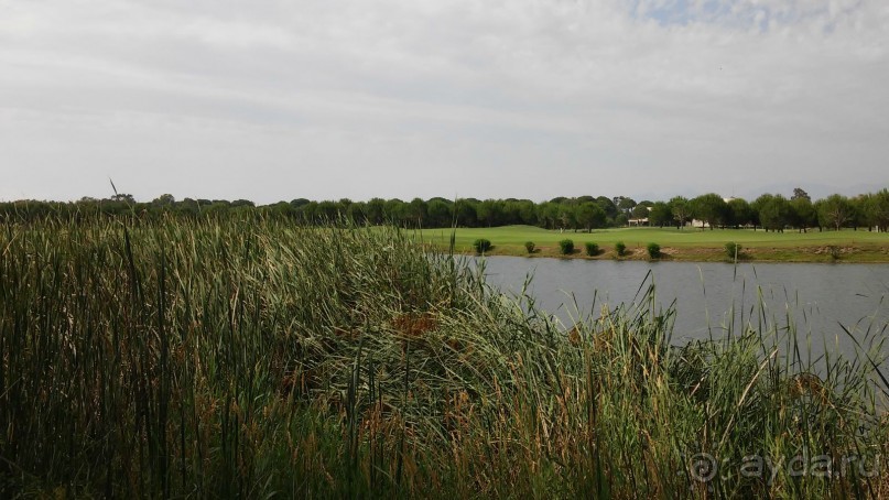 сказочный отель для отдыха без детей, но с нерадивым персоналом