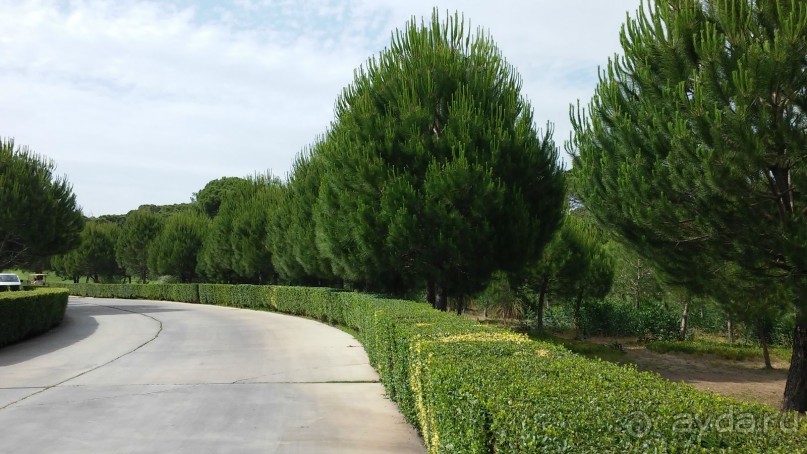 сказочный отель для отдыха без детей, но с нерадивым персоналом