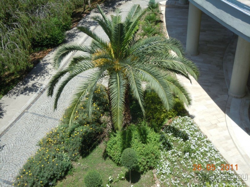 фото La Residenza Sorrento