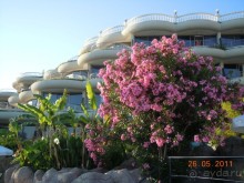 фото Crystal Sunrise Queen Luxury Resort & SPA