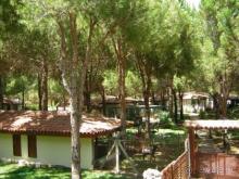 фото Bellis Deluxe Hotel