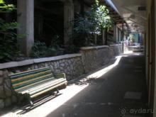 Замечательные коттеджи "Солнечного"