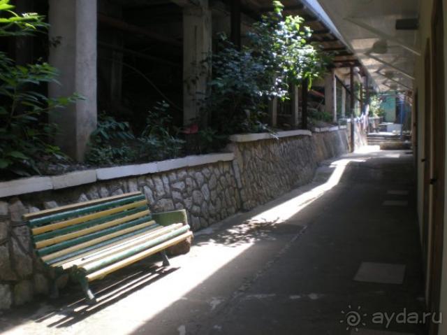 Замечательные коттеджи "Солнечного"