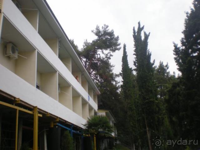 Замечательные коттеджи "Солнечного"