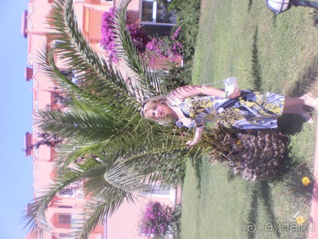 фото Панорама